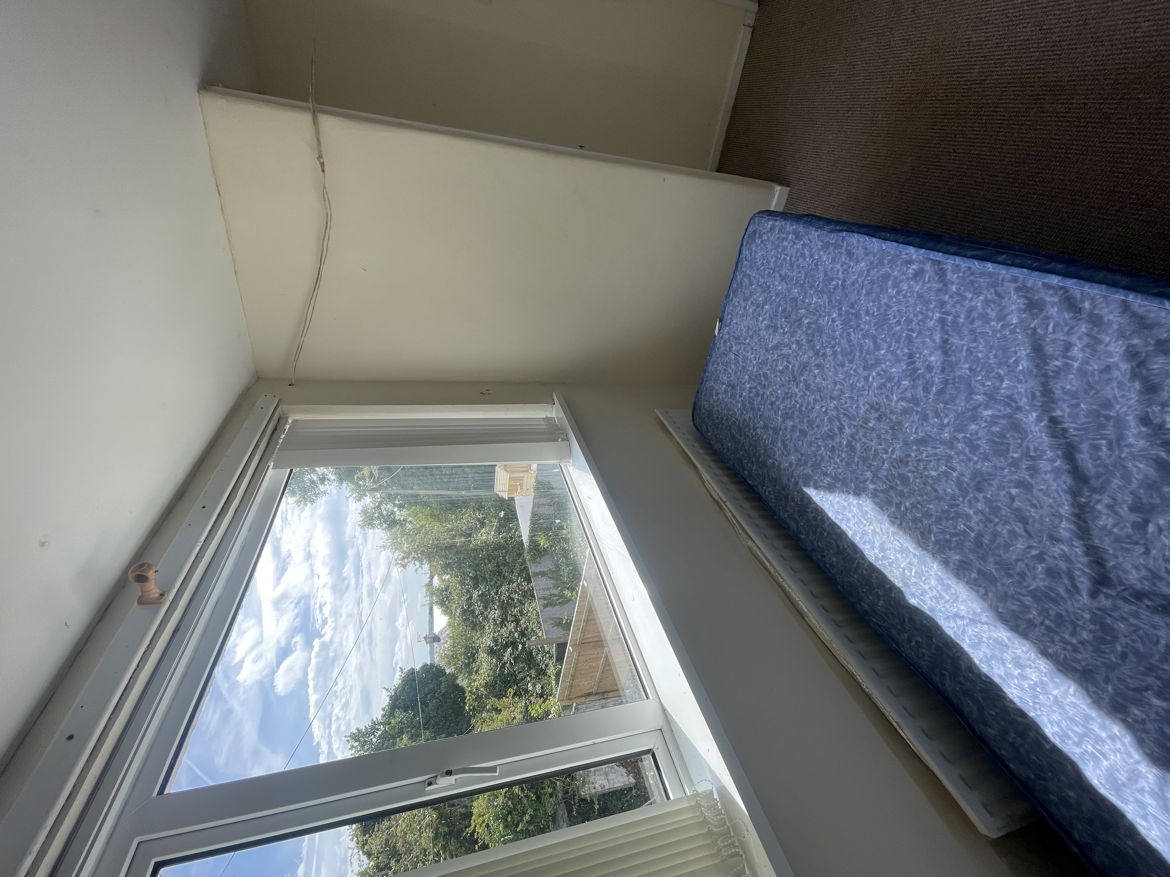 img7557